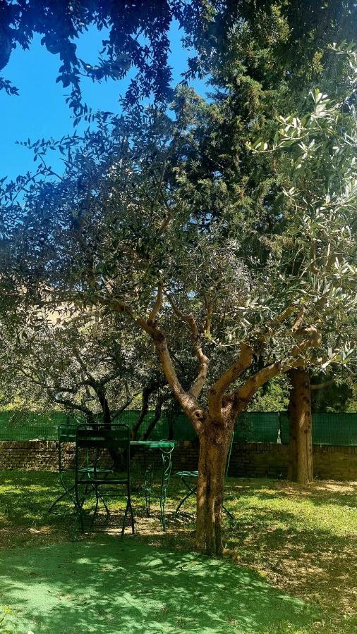 Fontecorona Bed And Breakfast Serra San Quirico Exterior foto